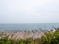 DSC 7479