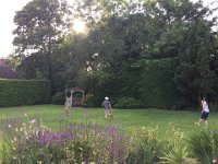 IMG 7181