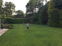 IMG 7183