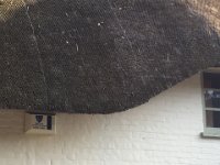 IMG 7189
