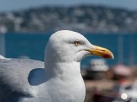DSC 7378