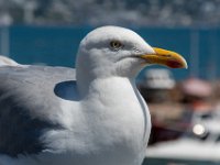 DSC 7379