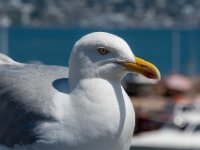 DSC 7380