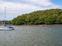 DSC 7401