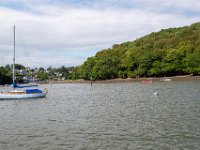 DSC 7402