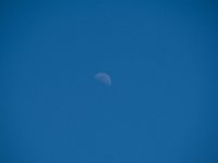 DSC 7405