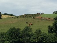 IMG 8160