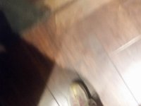 20190624 141400