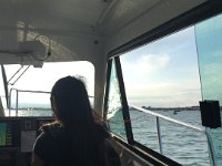 IMG 8643