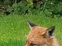 20190619 142007 006  JKJK0	 �¹�å�Á�����#��#���������������������Ñ�¢�#cù����óô�x»�¢gÿÿæÜÿÿÿÅÿÿ±�P¨ÿÿK��ÿÿ­ß�"w�"w�2w�"w�"w�"w�"w�"w�2w�2w�A"�a�a�@"�Q3� �	�"w�"w�"w�"w�"w�"w�2w�2w�Bw�a�a�Q3� �@"� �"w�"w�"w�"w�"w�2w�2w�2w�2w�a�a�a�Q3� � � �"w�"w�"w�2w�"w�"w�"w�"w�Q3�a�q¥�Q3�Q3� � � �"w�2w�"w�"w�"w�"w�"w�2w�1"�a�Q3�A"� � �0� �"w�"w�2w�"w�"w�"w�"w�Q3�a�a�A"� � � � �0�"w�"w�2w�2w�"w�"w�2w�a�q¥�a�A"�!"�1"� � �!"�1"�	�2w�2w�"w�"w�"w�q¥�q¥�q¥�a�!"�!"�!"�!"�"w�A"�A"�2w�2w�"w�"w�2w�q¥�q¥�q¥�a�!"�"w�"w�"w�"w�2w�2w�A"�2w�"w�"w�"w�q¥�q¥�q¥�a� �"w�"w�"w�"w�"w�2w�A"�2w�"w�"w�"w�A"�q¥�q¥�q¦�A"�"w�"w�"w�"w�"w�2w�2w�2w�2w�"w�2w�2w�Bw�a�q¥�`		�"w�2w�"w�"w�"w�"w�	�"w�"w�"w�"w�2w�2w�"w�Q3�`		�"w�"w�"w�"w�2w�Bw�	�"w�"w�2w�"w�"w�2w�"w�2w�Q3�"w�"w�"w�"w�"w�q¦�	�"w�"w�2w�"w�"w�2w�"w�"w�"w�"w�"w�"w�"w�2w�"w�2w�"w�2w�"w�"w�"w�"w�"w�"w�"w�"w�"w�"w�"w� ÿÅD �	�L#������Î�&,�º!������ �÷������¼��´�´�´�´U�´U�´�E��������������������yF�������� �9 �Å �ÅÜ�B C �C �Ô�4$�L#�L#�������������������ø(Í�&Í�&H�é',�º!,�º!z*ïd��Ð Ð ���Ö��������������������������������������������������������������� L����������������÷��§������������������������������������������������������������������������������������������������������������FAFA��Uq�}�(���¡¡3����FAFA(�{��ÿîÿv���ç}�|��ÿîÿv���ç}�}��Fÿ�v���ç£}�}��Fÿ�v���ç£~�}��Fÿ�v���çã~�}��¤ÿ�v���çÃ~�}��¤ÿ�v���çÃ~�}��¤ÿ�v���çÃ~�}�Öÿ%�ùÿv���çÃ~�}�Öÿ%�ùÿv���çÃ~�}�Öÿ%�ùÿv���çÃ�}�ÿI��v���çÃ~�}�ÿI��v���çÃ~�}�ÿI��v���çÃ~�}�¨ÿf���v���çÃ~�}�¨ÿf���v���çÃ~�}�¬ÿ^��v���çÃ~�}�¬ÿ^��v���çÃ�}�¬ÿ^��v���çÃ~�}�ÝÿÒÿ�v���çÃ~�}�ÝÿÒÿ�v���çÃ~�}�ÝÿÒÿ�v���çÃ~�}�ÝÿÒÿ�v���çÃ~�}��9� �v���çÃ~�}��9� �v���çÃ~�}��9� �v���çÃ~�}�h�Ñÿ�v���çÃ~�}�h�Ñÿ�v���çÃ~�}�h�Ñÿ�v���çÃ~�}��¡ÿýÿv���çÃ~�}��¡ÿýÿv���çÃ~�}�àÿ3�ôÿv���çÃ~�}�àÿ3�ôÿv���çÃ�}�àÿ3�ôÿv���çÃ~�}�Åÿâÿêÿv���çÃ~�}�Åÿâÿêÿv���çÃ~�}�Åÿâÿêÿv���çÃ~�}�ÿõÿûÿv���çÃ~�}�ÿõÿûÿv���çÃ~�}�ÿõÿûÿv���çÃ~�#��ú�ÐP����ðäÐÄFAFA���������������������������������������������������������������������������������������������������������~�ç���}�ç���|�ç���{�ç���v�ç���v�ç���v�ç���x�ç���}�ç����ç���
�ç����ç����ç���~�ç���}�ç���{�ç���y�ç���x�ç���w�ç���w�ç���y�ç���{�ç���~�ç����ç����ç����ç���~�ç���z�ç���z�ç���x�ç���y�ç���z�ç���{�ç���{�ç���{�ç���~�ç����ç����ç����ç���}�ç���}�ç���y�ç���x�ç���x�ç���|�ç����ç���}�ç���{�ç���|�ç���
�ç����ç����ç���}�ç���{�����{�����y�ç���x�ç���z�ç���|�ç���z�ç���|�ç���}�ç����ç���
�ç���
�ç���}�ç���z�ç���{�ç���y�ç���w�ç���x�ç���y�ç���z�ç���|�ç����ç����ç����ç����ç���}�ç���~�ç���}�ç���y�ç���y�ç���w�ç���y�ç���{�ç���}�ç����ç���
�ç����ç���
�ç���������������������������������������������������������������������������������������������������������� �	���ç��ÿ�����������������������������������������������®®®®��¸�����	��%������1¡r���	��2	�� �����������������������������������������������������������������������+���+���������������������#	��������������������������������������������������������������D������P���#	������	���������������� ���2���i���������������%��¸��îîîîÛ����������������������������������������������������������������������������������������������ª��������ª�������������u ����u ����������Âÿÿÿv���ó���2���K	��		��Û	��r	��B��»��r	��"	��	��	��$ ��D	����¹��	��-	��q	��f	��µ	��J	��������	��-	��	��D	��«	��)	�� 	��ý��8��µ��	��1	��	��/	��	��M	��	����À��*	��2	��Ú	��(	��	��K	��à��Ü�� 	��ÿ��	��	��i	��C	��?��Ó��ÿ��ù��à��	��h	��F	��	��ü��Ø��	��þ��ª�������������5��õÿÿÿØ��	������_������������������	�� ������������ ������	������$���+������þÿÿñÿÿÿ��������������������������������������������	��	������à�����A���������������������������������� 	��^	�������?��·������Îÿÿÿlÿÿÿÿÿÿíÿÿÿvÿÿÿ0ÿÿÿÿÿÿÿÿÿ�����������������������b���¾ÿÿÿ@	��§ÿÿÿUÿÿÿË��Ô���³���*��������������������������������������������������������������������������������$ ��ôÿÿÿõÿÿÿ����������������¤	������|��Ì	�������������+���5���?����������������� �� �������������������������������0������������������������������������� o�������������������������������������������������������������������������������������������������������������������������������������������������������������������������������������������������������������������������������������������������������������������������������������������������������������������������������������������������ssuniqueid`3