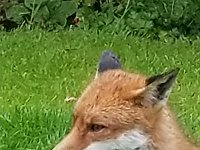 20190619 142009 025  JKJK0	 �¹�å�Á�����/��/���������������������×� �÷����=ó�x»�¢gÿÿæÜÿÿÿÅÿÿ±�P¨ÿÿK��ÿÿ­ß�"w�2w�"w�"w�"w�2w�"w�2w�2w�"w�a�q¥�a�a�a�a�"w�2w�"w�"w�"w�"w�"w�2w�2w�2w�q¥�a�P3�a�0�0�"w�2w�"w�"w�"w�2w�2w�2w�2w�a�a�a� �@"� �!"�"w�"w�"w�"w�"w�2w�2w�1"�Q3�a�a�a� � � �!"�"w�"w�2w�"w�"w�2w�2w�1"�a�a�a�Q3� � � �1"�2w�"w�2w�"w�"w�"w�2w�Q3�a�a�A"�0� � �0�1"�"w�2w�"w�"w�"w�"w�Bw�q¥�a�A"� � � � �0�!"�"w�	�2w�"w�"w�"w�A"�q¥�a�Q3� �1"� � � �"w�	�Bw�2w�2w�"w�"w�a�q¥�q¥�a�!"�!"�!"� �!"�"w�	�	�Bw�"w�"w�2w�q¥�q¥�q¥�q¦� �"w�"w�"w�"w�"w�2w�Bw�	�"w�"w�2w�p		�q¥�q¥�q¦� �"w�"w�"w�"w�"w�2w�q¦�2w�"w�"w�2w�2w�a�q¥�q¦�Q3�"w�"w�"w�"w�"w�2w�A"�2w�2w�2w�"w�2w�2w�a�q¥�q¦�!"�"w�2w�"w�"w�2w�	�2w�"w�2w�2w�"w�2w�"w�Bw�a�!"�"w�"w�"w�"w�2w�	�"w�"w�"w�"w�"w�"w�"w�"w�Q3�"w�"w�"w�"w�"w�Q3�	�"w�"w�2w�"w�"w�2w�"w�"w�"w�"w�"w�"w�"w�"w� �Ä ÿó�O"������9�E%Ò�> ������y �������?�Ñ#�#�#�#�s�s�±� ���������������������������� �z � �v �+ Å �Å �D�0#ó�O"ó�O"������������������}�(9�E%9�E%Ò�(&Ò�> Ò�> b3ø��  ���Û���������������������������������������������������������������;����������������÷��§������������������������������������������������������������������������������������������������������������FAFA��Uq�}�(���¡¡3����FAFA(�{��ÿîÿv���ç}�|��ÿîÿv���ç}�}��Fÿ�v���ç£}�}��Fÿ�v���ç£~�}��Fÿ�v���çã~�}��¤ÿ�v���çÃ~�}��¤ÿ�v���çÃ~�}��¤ÿ�v���çÃ~�}�Öÿ%�ùÿv���çÃ~�}�Öÿ%�ùÿv���çÃ~�}�Öÿ%�ùÿv���çÃ�}�ÿI��v���çÃ~�}�ÿI��v���çÃ~�}�ÿI��v���çÃ~�}�¨ÿf���v���çÃ~�}�¨ÿf���v���çÃ~�}�¬ÿ^��v���çÃ~�}�¬ÿ^��v���çÃ�}�¬ÿ^��v���çÃ~�}�ÝÿÒÿ�v���çÃ~�}�ÝÿÒÿ�v���çÃ~�}�ÝÿÒÿ�v���çÃ~�}�ÝÿÒÿ�v���çÃ~�}��9� �v���çÃ~�}��9� �v���çÃ~�}��9� �v���çÃ~�}�h�Ñÿ�v���çÃ~�}�h�Ñÿ�v���çÃ~�}�h�Ñÿ�v���çÃ~�}��¡ÿýÿv���çÃ~�}��¡ÿýÿv���çÃ~�}�àÿ3�ôÿv���çÃ~�}�àÿ3�ôÿv���çÃ�}�àÿ3�ôÿv���çÃ~�}�Åÿâÿêÿv���çÃ~�}�Åÿâÿêÿv���çÃ~�}�Åÿâÿêÿv���çÃ~�}�ÿõÿûÿv���çÃ~�}�ÿõÿûÿv���çÃ~�}�ÿõÿûÿv���çÃ~�1��ú�ÐP����ðäÐÄFAFA���������������������������������������������������������������������������������������������������������}�ç���}�ç���}�ç���{�ç���w�ç���v�ç���v�ç���x�ç���}�ç����ç���
�ç����ç����ç���~�ç���}�ç���|�ç���y�ç���w�ç���v�ç���x�ç���x�ç���{�ç���}�ç����ç����ç����ç���~�ç���{�ç���z�ç���y�ç���y�ç���{�ç���}�ç���{�ç���{�ç���~�ç����ç����ç����ç���}�ç���|�ç���x�ç���x�ç���x�ç���}�ç����ç���}�ç���{�ç���|�ç���
�ç����ç����ç���}�ç���|�����{�����y�ç���y�ç���z�ç���z�ç���z�ç���|�ç���}�ç����ç����ç����ç���}�ç���{�ç���|�ç���y�ç���x�ç���x�ç���x�ç���z�ç���}�ç����ç����ç����ç����ç���}�ç���}�ç���|�ç���z�ç���z�ç���w�ç���z�ç���{�ç���~�ç����ç����ç���
�ç���
�ç���������������������������������������������������������������������������������������������������������� �	���ç��ÿ�����������������������������������������������®®®®��è����-	��3������1¡r���	��1	�������������������������������������������������������������������������)���)���������������������1	��������������������������������������������������������������M������J��� 	������	��ç��������������� ���@���x���������������3��è��îîîîÚ����������������������������������������������������������������������������������������������V�������V�������������? ����? ����������Äÿÿÿ{���ô���.���Þ��|	��¿	��
	��]��6	��	��µ	��5	��	��	��¼	����+	��B	��h	��ú�� ��	��	����p��		��}	��H	��3	��	��\	��	��é��¬��m��*	��¡	��6	��î��~	��P	��	��î����Ü��b	��õ��ü��m	��C	��ü��a��Í��-	��|	��{	��\	��[	��ù��k��Ï��	��	��»��:	��P	��ë��ÿ��ª��À��6	��£��È��������������2��òÿÿÿÈ��	������W������������������	��k ��	����������w ������	������"���)������þÿÿðÿÿÿ��������������������������������������������-	��-	������ö�����:����������������������������������9	��	�������:��¬������Õÿÿÿ|ÿÿÿÿÿÿòÿÿÿrÿÿÿ5ÿÿÿÿÿÿsÿÿÿ�����������������������üÿÿÿÇÿÿÿ'	��¨ÿÿÿZÿÿÿÍ��¿���³���)�������������������������������������������������������������������������������� ��óÿÿÿòÿÿÿ����������������	������Ä��Ì	�������������)���2���:����������������� �� ��������������������������������3�������������������������������������øá�������������������������������������������������������������������������������������������������������������������������������������������������������������������������������������������������������������������������������������������������������������������������������������������������������������������������������������������������ssuniqueid`3