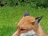 20190619 142009 027  JKJK0	 �¹�å�Á�����:��:���������������������Ý�¢�/Oø����ñ�x»�¢gÿÿæÜÿÿÿÅÿÿ±�P¨ÿÿK��ÿÿ­ß�"w�2w�"w�"w�"w�2w�2w�2w�"w�2w�q¥�q¥�a�a�a�a�"w�2w�"w�"w�"w�"w�2w�"w�2w�Bw�q¥�a�P3�Q3�0�1"�"w�2w�"w�"w�"w�"w�2w�2w�2w�a�a�Q3� �@"� �!"�"w�"w�"w�"w�"w�"w�"w�1"�a�a�a�Q3� � � �1"�"w�"w�"w�"w�2w�"w�2w�1"�a�a�Q3�Q3� � � �1"�2w�"w�2w�"w�"w�"w�Bw�Q3�a�P3�A"�1"� � � �A"�"w�2w�"w�"w�"w�"w�a�q¥�a�0� � � �0�1"�!"�"w�2w�"w�"w�"w�"w�a�q¥�a�A"�!"�1"� � �!"�"w�	�A"�2w�"w�"w�!"�q¥�q¥�q¥�Q3�!"�!"�!"� �"w�"w�A"�	�2w�"w�"w�!"�q¥�q¥�q¥�a�!"�"w�2w�"w�"w�"w�2w�Bw�	�"w�"w�2w�a�q¥�q¥�a� �"w�"w�"w�"w�"w�2w�2w�2w�"w�"w�"w�2w�q¥�q¥�q¦�1"�"w�"w�"w�"w�"w�2w�Bw�2w�2w�"w�2w�2w�Bw�q¥�q¥�Q3�"w�"w�"w�"w�"w�2w�2w�"w�"w�"w�2w�2w�2w�"w�a�P3�"w�"w�"w�"w�"w�2w�A"�"w�"w�"w�"w�2w�2w�"w�2w�Q3�"w�"w�"w�"w�"w�q¦�	�"w�"w�"w�"w�"w�2w�"w�"w�"w�"w�"w�"w�"w�"w�¥ �° ÿ9?�T!������'�²%z�Ç ������f ÿ�������#úÿ|úÿ|úÿ|úÿ|Iÿ|Iÿ|ÿ��������������������ª
��������¥ �$¥ �°¥ �°J �Ï �: �:�/"?�T!?�T!������������������/�Ú('�²%'�²%�Ë&z�Ç z�Ç bRf��``���	ì���������������������������������������������������������������G����������������÷��§������������������������������������������������������������������������������������������������������������FAFA��Uq�}�(���¡¡3����FAFA(�{��ÿîÿv���ç}�|��ÿîÿv���ç}�}��Fÿ�v���ç£}�}��Fÿ�v���ç£~�}��Fÿ�v���çã~�}��¤ÿ�v���çÃ~�}��¤ÿ�v���çÃ~�}��¤ÿ�v���çÃ~�}�Öÿ%�ùÿv���çÃ~�}�Öÿ%�ùÿv���çÃ~�}�Öÿ%�ùÿv���çÃ�}�ÿI��v���çÃ~�}�ÿI��v���çÃ~�}�ÿI��v���çÃ~�}�¨ÿf���v���çÃ~�}�¨ÿf���v���çÃ~�}�¬ÿ^��v���çÃ~�}�¬ÿ^��v���çÃ�}�¬ÿ^��v���çÃ~�}�ÝÿÒÿ�v���çÃ~�}�ÝÿÒÿ�v���çÃ~�}�ÝÿÒÿ�v���çÃ~�}�ÝÿÒÿ�v���çÃ~�}��9� �v���çÃ~�}��9� �v���çÃ~�}��9� �v���çÃ~�}�h�Ñÿ�v���çÃ~�}�h�Ñÿ�v���çÃ~�}�h�Ñÿ�v���çÃ~�}��¡ÿýÿv���çÃ~�}��¡ÿýÿv���çÃ~�}�àÿ3�ôÿv���çÃ~�}�àÿ3�ôÿv���çÃ�}�àÿ3�ôÿv���çÃ~�}�Åÿâÿêÿv���çÃ~�}�Åÿâÿêÿv���çÃ~�}�Åÿâÿêÿv���çÃ~�}�ÿõÿûÿv���çÃ~�}�ÿõÿûÿv���çÃ~�}�ÿõÿûÿv���çÃ~�8��ú�ÐP����ðäÐÄFAFA���������������������������������������������������������������������������������������������������������}�ç���}�ç���}�ç���{�ç���x�ç���v�ç���v�ç���x�ç���|�ç����ç����ç����ç����ç���~�ç���}�ç���|�ç���y�ç���x�ç���u�ç���x�ç���y�ç���{�ç���~�ç����ç����ç����ç����ç���|�ç���z�ç���y�ç���y�ç���{�ç���}�ç���{�ç���{�ç���~�ç����ç���
�ç����ç���}�ç���}�ç���z�ç���y�ç���y�ç���|�ç����ç���}�ç���{�ç���|�ç���
�ç����ç����ç���}�ç���|�����{�����x�ç���z�ç���z�ç���|�ç���z�ç���|�ç���}�ç����ç����ç����ç���}�ç���y�ç���y�ç���z�ç���y�ç���w�ç���y�ç���z�ç���}�ç���~�ç����ç����ç����ç���}�ç���~�ç���|�ç���z�ç���y�ç���x�ç���y�ç���{�ç���~�ç����ç����ç����ç����ç���������������������������������������������������������������������������������������������������������� �	���ç��ÿ�����������������������������������������������®®®®��è����-	��:������1¡r���	��0	�������������������������������������������������������������������������)���)���������������������8	��������������������������������������������������������������\������J���%	������	��á��������������� ���@���x���������������:��è��îîîîÙ����������������������������������������������������������������������������������������������V�������V�������������- ����- ����������Ãÿÿÿ���õ���,���à��	��Æ	��	��k��F	��	��Á	��J	��	��	��í	��
��1	��B	��t	��	�� ��h	��Ë	��È��}��-	��w	��N	��7	�� 	��N	�� 	��Þ��©��~��J	��	��_	��Ð��	��D	��ÿ��ø����í��_	��ê��	��r	��7	��ì����Ù��%	��¡	��U	��c	��W	��ì����Ó��	��2	��Ë��E	��G	��î��÷��¶��Ã��7	��©��Ï��������������2��òÿÿÿË��	������X������������������	��p ������������p ������	������"���)������þÿÿôÿÿÿ��������������������������������������������-	��-	������û�����:�����������������������������������D	��	�������:��©������Öÿÿÿ{ÿÿÿÿÿÿóÿÿÿtÿÿÿ.ÿÿÿÿÿÿ}ÿÿÿ�����������������������íÿÿÿ¹ÿÿÿ-	��©ÿÿÿYÿÿÿ×��Á���²���+�������������������������������������������������������������������������������� ��ôÿÿÿòÿÿÿ����������������	������Ü��Ì	�������������)���2���:����������������� �� ���������������������������������3�������������������������������������È�������������������������������������������������������������������������������������������������������������������������������������������������������������������������������������������������������������������������������������������������������������������������������������������������������������������������������������������������ssuniqueid`3