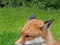 20190619 142009 029  JKJK0	 �¹�å�Á�����=��=���������������������Þ�¢�.ñ÷����òð�x»�¢gÿÿæÜÿÿÿÅÿÿ±�P¨ÿÿK��ÿÿ­ß�"w�2w�"w�"w�"w�2w�"w�2w�"w�2w�q¥�a�a�a�a�a�"w�2w�"w�"w�"w�"w�2w�2w�2w�A"�q¥�a�`		�Q3�0�A"�"w�2w�"w�"w�"w�"w�2w�2w�2w�a�a�P3� �A"� �1"�"w�"w�"w�"w�"w�"w�2w�1"�a�a�a�Q3� � � �1"�"w�"w�"w�"w�2w�"w�2w�A"�a�a�Q3�Q3� � � �1"�2w�"w�2w�"w�"w�"w�Bw�Q3�a�`		�A"�0� � �0�A"�"w�"w�"w�"w�"w�"w�a�a�a� �0� � �0�0�1"�"w�Bw�"w�"w�"w�"w�q¥�q¥�a�0�!"�1"� � �!"�"w�	�Bw�2w�"w�"w�!"�q¥�q¥�q¥�A"�!"�!"� � �"w�"w�Q3�	�2w�"w�"w��q¥�q¥�q¥�Q3�!"�!"�2w�"w�"w�"w�A"�Bw�2w�"w�"w�2w�a�q¥�q¥�Q3�!"�"w�"w�"w�"w�"w�	�2w�2w�"w�"w�2w�Bw�q¥�a�a�!"�"w�"w�"w�"w�"w�Bw�2w�2w�2w�"w�2w�2w�Q3�q¥�q¦�1"�"w�"w�"w�"w�"w�	�2w�"w�"w�"w�2w�"w�2w�2w�a�0�"w�2w�"w�"w�"w�"w�2w�"w�"w�"w�"w�2w�2w�"w�Bw�A"�"w�"w�"w�"w�"w�a�	�"w�"w�2w�"w�"w�"w�"w�"w�2w�"w�"w�"w�"w�"w�n ÿÄL �íå�\"������ç�&�0 é�us ÿ������Û�YúºúºúºúºIºIº>������������������������� ���n �9n �Än �Äî�S J �ìJ �ì7�=#å�["å�["������������������í� �v���çÃ~�}��9� �v���çÃ~�}��9� �v���çÃ~�}�h�Ñÿ�v���çÃ~�}�h�Ñÿ�v���çÃ~�}�h�Ñÿ�v���çÃ~�}��¡ÿýÿv���çÃ~�}��¡ÿýÿv���çÃ~�}�àÿ3�ôÿv���çÃ~�}�àÿ3�ôÿv���çÃ�}�àÿ3�ôÿv���çÃ~�}�Åÿâÿêÿv���çÃ~�}�Åÿâÿêÿv���çÃ~�}�Åÿâÿêÿv���çÃ~�}�ÿõÿûÿv���çÃ~�}�ÿõÿûÿv���çÃ~�}�ÿõÿûÿv���çÃ~�=��ú�ÐP����ðäÐÄFAFA���������������������������������������������������������������������������������������������������������}�ç���}�ç���|�ç���{�ç���w�ç���u�ç���v�ç���w�ç���}�ç����ç����ç����ç����ç���~�ç���}�ç���{�ç���y�ç���w�ç���v�ç���w�ç���x�ç���{�ç����ç����ç����ç����ç���~�ç���{�ç���y�ç���x�ç���y�ç���{�ç���|�ç���{�ç���{�ç���~�ç����ç����ç����ç���}�ç���|�ç���y�ç���x�ç���y�ç���}�ç����ç���}�ç���|�ç���}�ç����ç����ç����ç���}�ç���{�����|�����y�ç���y�ç���z�ç���{�ç���{�ç���|�ç���}�ç���
�ç���
�ç���
�ç���}�ç���z�ç���y�ç���y�ç���x�ç���x�ç���y�ç���{�ç���}�ç����ç���
�ç����ç����ç���}�ç���}�ç���}�ç���z�ç���y�ç���x�ç���z�ç���|�ç���~�ç����ç����ç���
�ç���
�ç����������������������������������������������������������������������������������������������������������
�	���ç��ÿ�����������������������������������������������®®®®��è����-	��@������1¡r���"	��/	�������������������������������������������������������������������������)���)���������������������=	��������������������������������������������������������������\������J���(	������"	��Å��������������� ���@���x���������������@��è��îîîîÙ�������������������������������������������������������������������������������������������	���V�������V�������������3 ����3 ����������Ãÿÿÿ���õ���,���Ò��	��Ò	��£	��p��Z	��å��Ê	��]	��®	��v	��� ��
�� 	��	��	��	 ��U	��ë	��ß����:	��l	��P	��N	��²	��G	�� 	��Ý������b	��b	��k	��é��	��;	��	��ý��©��	��Z	��ê��	��t	��2	��ç����â�� 	��³	��:	��l	��T	��å����Ü��	��P	��Ü��J	��D	��è��ó��»��É�� ������������c ������	������"���)������þÿÿ÷ÿÿÿ��������������������������������������������-	��-	������þ�����9����������������������������������N	��	�������9��¤��� ���Öÿÿÿ{ÿÿÿÿÿÿíÿÿÿyÿÿÿÿÿÿÿÿÿÿÿÿ�����������������������ãÿÿÿºÿÿÿ ��ôÿÿÿóÿÿÿ����������������	������Ü��Ì	�������������)���1���9����������������� �� ��������������������������������3�������������������������������������0�������������������������������������������������������������������������������������������������������������������������������������������������������������������������������������������������������������������������������������������������������������������������������������������������������������������������������������������������ssuniqueid`3