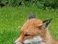 20190619 142009 030  JKJK0	 �¹�å�Á�����@��@���������������������à�£�+Ð÷����=ñ�x»�¢gÿÿæÜÿÿÿÅÿÿ±�P¨ÿÿK��ÿÿ­ß�"w�2w�"w�"w�"w�2w�"w�2w�"w�2w�q¥�q¥�a�a�a�a�"w�2w�"w�"w�"w�"w�2w�2w�2w�A"�q¥�a�`		�Q3�0�Q3�"w�2w�"w�"w�"w�"w�2w�2w�2w�a�a�P3� �A"� �1"�"w�"w�"w�"w�"w�"w�1"�1"�a�a�a�Q3� � � �1"�"w�"w�"w�"w�2w�"w�2w�A"�a�a�Q3�A"� � � �1"�2w�"w�2w�"w�"w�"w�A"�Q3�a�Q3�A"�0� � �!"�A"�"w�"w�"w�"w�"w�"w�q¥�a�a� �0� � �0�1"�2w�"w�2w�"w�"w�"w�"w�q¥�q¥�a�0�!"� � � �!"�"w�	�Bw�2w�"w�"w�1"�q¥�q¥�a�A"�!"�!"� � �"w�"w�Q3�	�2w�"w�"w��q¥�q¥�q¥�Q3�!"�!"�2w�"w�"w�"w�A"�	�2w�"w�"w�"w�q¥�q¥�q¥�Q3�!"�"w�"w�"w�"w�"w�	�2w�2w�"w�"w�2w�Bw�q¥�q¦�a� �"w�"w�"w�"w�"w�A"�2w�2w�2w�"w�2w�2w�Q3�q¥�q¦�1"�"w�"w�"w�"w�"w�	�2w�"w�2w�"w�2w�"w�2w�2w�a�0�"w�"w�"w�"w�"w�"w�Bw�"w�"w�"w�"w�2w�2w�"w�A"�A"�"w�"w�"w�"w�"w�a�2w�"w�"w�"w�"w�2w�"w�"w�2w�1"�"w�"w�"w�"w�"w�_ �Àô�%Ó�L"������¸�Ø% �v���çÃ~�}��9� �v���çÃ~�}��9� �v���çÃ~�}�h�Ñÿ�v���çÃ~�}�h�Ñÿ�v���çÃ~�}�h�Ñÿ�v���çÃ~�}��¡ÿýÿv���çÃ~�}��¡ÿýÿv���çÃ~�}�àÿ3�ôÿv���çÃ~�}�àÿ3�ôÿv���çÃ�}�àÿ3�ôÿv���çÃ~�}�Åÿâÿêÿv���çÃ~�}�Åÿâÿêÿv���çÃ~�}�Åÿâÿêÿv���çÃ~�}�ÿõÿûÿv���çÃ~�}�ÿõÿûÿv���çÃ~�}�ÿõÿûÿv���çÃ~�@��ú�ÐP����ðäÐÄFAFA���������������������������������������������������������������������������������������������������������}�ç���}�ç���}�ç���{�ç���x�ç���u�ç���u�ç���x�ç���~�ç����ç����ç����ç����ç���}�ç���}�ç���{�ç���y�ç���w�ç���v�ç���x�ç���y�ç���{�ç���~�ç����ç���
�ç����ç����ç���{�ç���z�ç���y�ç���y�ç���{�ç���|�ç���{�ç���{�ç���~�ç����ç����ç���
�ç���}�ç���|�ç���y�ç���x�ç���x�ç���}�ç����ç���}�ç���{�ç���|�ç����ç����ç����ç���}�ç���|�����{�����y�ç���y�ç���y�ç���|�ç���z�ç���|�ç���}�ç���
�ç���
�ç���
�ç���}�ç���z�ç���y�ç���y�ç���x�ç���x�ç���y�ç���{�ç���}�ç����ç���
�ç����ç����ç���}�ç���}�ç���|�ç���z�ç���y�ç���x�ç���z�ç���|�ç���~�ç����ç����ç���
�ç���
�ç����������������������������������������������������������������������������������������������������������
�	���ç��ÿ�����������������������������������������������®®®®��è����-	��A������1¡r���#	��/	�������������������������������������������������������������������������)���)���������������������@	��������������������������������������������������������������]������J���)	������#	��Ä��������������� ���@���x���������������A��è��îîîîÙ����������������������������������������������������������������������������������������������V�������V������������� ���� ����������Ãÿÿÿ���õ���+���Ò��	��Õ	��¦	��v��`	��â��Ë	��g	��²	��r	�� ����B	��:	��	��	�� ��P	��ø	��è����>	��g	��Q	��P	��¼	��C	��	��Û������d	��[	��m	��ô��	��6	���	��ü��©�� 	��X	��é��	��r	��/	��ã����å��	��µ	��4	��n	��Q	��ç����Ü��	��\	��à��L	��@	��å��ò��½��Í�� ��ö����������_ ������	������"���)������þÿÿøÿÿÿ��������������������������������������������-	��-	������ÿ�����8����������������������������������Q	��	�������9��¡������Öÿÿÿ|ÿÿÿÿÿÿëÿÿÿvÿÿÿ%ÿÿÿÿÿÿÿÿÿ�����������������������ãÿÿÿ·ÿÿÿ@	��¨ÿÿÿYÿÿÿÝ��Ã���°���T�������������������������������������������������������������������������������� ��ôÿÿÿóÿÿÿ����������������	������Ü��Ì	�������������)���1���9����������������� �� ���������������������������������3�������������������������������������¨�������������������������������������������������������������������������������������������������������������������������������������������������������������������������������������������������������������������������������������������������������������������������������������������������������������������������������������������������ssuniqueid`3