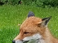 20190619 142009 035  JKJK0	 �¹�å�Á�����H��H��������������������ä��)÷����¿ð�x»�¢gÿÿæÜÿÿÿÅÿÿ±�P¨ÿÿK��ÿÿ­ß�2w�"w�"w�"w�2w�"w�"w�2w�"w�Bw�q¥�q¥�a�a�a�q¦�"w�2w�"w�"w�2w�"w�2w�2w�"w�a�q¥�`		�a�a�A"�a�2w�2w�"w�"w�2w�2w�2w�2w�2w�a�a�@"�P3�1"� �1"�"w�2w�"w�"w�"w�"w�1"�2w�a�a�a�@"� � �!"�1"�"w�"w�"w�"w�"w�"w�A"�a�a�a�a�A"� � �!"�1"�2w�2w�"w�"w�"w�"w�Q3�Q3�a�a�A"�0� � �1"�A"�"w�"w�"w�"w�2w�2w�q¥�a�Q3� �0� � �0�1"�2w�	�2w�"w�"w�"w�2w�q¥�a�a� �1"� � �0�!"�"w�	�2w�2w�"w�"w�Q3�q¥�q¥�a� �1"� � � �"w�"w�Q3�A"�"w�"w�"w�p		�q¥�q¥�q¦�1"�!"�!"�"w�"w�"w�"w�A"�	�"w�"w�2w�A"�q¥�q¥�q¦�1"�"w�"w�2w�"w�"w�"w�	�2w�"w�"w�"w�2w�a�q¥�q¦�A"�"w�"w�"w�"w�"w�"w�p		�2w�"w�2w�"w�2w�2w�q¥�q¦�q¦�!"�"w�"w�"w�"w�"w�	�2w�"w�2w�"w�"w�2w�Bw�Q3�q¥�!"�"w�"w�"w�"w�"w�	�2w�"w�"w�2w�"w�2w�2w�"w�a�!"�"w�"w�"w�"w�"w�q¦�"w�"w�"w�"w�"w�2w�"w�"w�2w�"w�"w�"w�"w�"w�"w�® �Ø- �W�¡$������¹�&ßÿu ç�o �4������K�ýèþèþèþèþ8þ8þxþ��������������������¾7��������® �L® �Ø® �Øå� , �W, �Wf�%�¡$�¡$�������������������Ù(¹�&¹�&Ü�i&ß�u ß�u b["Q��ÿÿ�Áð���������������������������������������������������������������,����������������÷��§������������������������������������������������������������������������������������������������������������FAFA��Uq�}�(���¡¡3����FAFA(�{��ÿîÿv���ç}�|��ÿîÿv���ç}�}��Fÿ�v���ç£}�}��Fÿ�v���ç£~�}��Fÿ�v���çã~�}��¤ÿ�v���çÃ~�}��¤ÿ�v���çÃ~�}��¤ÿ�v���çÃ~�}�Öÿ%�ùÿv���çÃ~�}�Öÿ%�ùÿv���çÃ~�}�Öÿ%�ùÿv���çÃ�}�ÿI��v���çÃ~�}�ÿI��v���çÃ~�}�ÿI��v���çÃ~�}�¨ÿf���v���çÃ~�}�¨ÿf���v���çÃ~�}�¬ÿ^��v���çÃ~�}�¬ÿ^��v���çÃ�}�¬ÿ^��v���çÃ~�}�ÝÿÒÿ�v���çÃ~�}�ÝÿÒÿ�v���çÃ~�}�ÝÿÒÿ�v���çÃ~�}�ÝÿÒÿ�v���çÃ~�}��9� �v���çÃ~�}��9� �v���çÃ~�}��9� �v���çÃ~�}�h�Ñÿ�v���çÃ~�}�h�Ñÿ�v���çÃ~�}�h�Ñÿ�v���çÃ~�}��¡ÿýÿv���çÃ~�}��¡ÿýÿv���çÃ~�}�àÿ3�ôÿv���çÃ~�}�àÿ3�ôÿv���çÃ�}�àÿ3�ôÿv���çÃ~�}�Åÿâÿêÿv���çÃ~�}�Åÿâÿêÿv���çÃ~�}�Åÿâÿêÿv���çÃ~�}�ÿõÿûÿv���çÃ~�}�ÿõÿûÿv���çÃ~�}�ÿõÿûÿv���çÃ~�H��ú�ÐP����ðäÐÄFAFA���������������������������������������������������������������������������������������������������������}�ç���}�ç���|�ç���{�ç���x�ç���v�ç���v�ç���y�ç���}�ç����ç���
�ç����ç����ç���~�ç���}�ç���{�ç���y�ç���w�ç���w�ç���x�ç���x�ç���|�ç���~�ç����ç����ç����ç����ç���|�ç���z�ç���y�ç���y�ç���{�ç���|�ç���{�ç���{�ç���~�ç����ç����ç���
�ç���}�ç���|�ç���z�ç���y�ç���y�ç���|�ç����ç���}�ç���|�ç���}�ç����ç����ç����ç���}�ç���|�����{�ç���y�ç���x�ç���y�ç���{�ç���{�ç���|�ç���}�ç����ç����ç����ç���}�ç���z�ç���y�ç���y�ç���x�ç���x�ç���z�ç���z�ç���}�ç����ç����ç����ç����ç���}�ç���~�ç���|�ç���z�ç���y�ç���x�ç���y�ç���{�ç���~�ç����ç���
�ç���
�ç���
�ç���������������������������������������������������������������������������������������������������������� �	���ç��ÿ�����������������������������������������������®®®®��ì�����F	��H������1¡r���	��.	�������������������������������������������������������������������������&���&���������������������E	��������������������������������������������������������������]������H���	������	��Ò��������������� ���2���y���������������H��ì��îîîîØ����������������������������������������������������������������������������������������������P��������P�������������> ����> ����������Ãÿÿÿ���õ���+���Á��	��Û	��	��v��H	��Ý��Ã	��`	��µ	��-	��ì	��w��B	��	��	��(	��Ë	��(	��ú	��÷��u��]	��!	��L	��c	��Ë	��	��	��Ì��¥����f	��	��_	��	��~	��	��ð��æ����7	��	��õ��	��\	��	��Î����ñ��		��¥	��÷��_	��&	��Ü����Ü��ã��	��à��E	��	��Ó��Ò��¤��Î��/	��¶��Ð��������������/��óÿÿÿ¾��	������X������������������	��Z ������������Z ������������!���&������uþÿÿýÿÿÿ��������������������������������������������F	��F	������		�����:����������������������������������J	��a	�������6��¨������Øÿÿÿ}ÿÿÿÿÿÿôÿÿÿyÿÿÿ#ÿÿÿÿÿÿÿÿÿ�����������������������Øÿÿÿ·ÿÿÿG	��©ÿÿÿZÿÿÿÒ��È���³���/��������������������������������������������������������������������������������ú	��ôÿÿÿóÿÿÿ����������������	������Ä��Ì	�������������&���/���6����������������� �� ��������������������������������6�������������������������������������XO�������������������������������������������������������������������������������������������������������������������������������������������������������������������������������������������������������������������������������������������������������������������������������������������������������������������������������������������������ssuniqueid`3