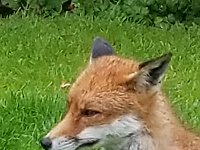 20190619 142009 037  JKJK0	 �¹�å�Á�����M��M��������������������æ��)ò÷����ñð�x»�¢gÿÿæÜÿÿÿÅÿÿ±�P¨ÿÿK��ÿÿ­ß�2w�"w�"w�"w�2w�"w�2w�2w�"w�A"�q¥�q¥�a�a�a�q¦�"w�2w�"w�"w�"w�"w�2w�2w�"w�a�q¥�`		�a�a�@"�a�2w�2w�"w�"w�"w�2w�2w�2w�Bw�q¥�a�@"�P3�0� �A"�"w�2w�"w�"w�"w�"w�1"�2w�a�a�a�0� � �!"�1"�"w�"w�"w�"w�"w�"w�A"�Q3�a�a�a�0� � �1"�A"�2w�2w�"w�"w�2w�"w�Q3�a�a�Q3�A"� � � �1"�Q3�"w�"w�"w�"w�"w�2w�q¥�a�a� � � � �0�1"�2w�2w�2w�"w�"w�"w�Bw�q¥�q¥�Q3� � � � �1"�!"�"w�2w�2w�2w�"w�"w�Q3�q¥�q¥�a�!"�1"� � �!"�"w�"w�Q3�A"�"w�"w�"w�q¦�q¥�q¥�q¦�1"�!"�!"�!"�"w�"w�"w�Bw�Bw�"w�"w�2w�A"�q¥�q¥�q¦�0�"w�"w�"w�"w�"w�"w�	�2w�"w�"w�"w�2w�a�q¥�q¦�A"�"w�"w�"w�"w�"w�"w�q¦�2w�"w�2w�"w�2w�Bw�q¥�q¦�a�"w�"w�"w�"w�"w�"w�	�2w�"w�2w�"w�2w�2w�A"�a�a�!"�"w�"w�"w�"w�"w�	�2w�"w�"w�"w�"w�2w�2w�"w�a�!"�"w�"w�"w�"w�"w�q¦�"w�"w�"w�"w�"w�2w�"w�"w�2w�"w�"w�"w�"w�"w�"w�W �ëd �ü_� #������õ�Ö%� ������m �������}�ÔÿÁÿÁÿÁÿÁSÿÁSÿÁÿD��������������������±j��������W �_W �ëW �ë �
 c �ûc �û´�ð#_� #_� #������������������@�¨(ô�Õ%ô�Õ%�&� � bb)P��00���dô���������������������������������������������������������������&����������������÷��§������������������������������������������������������������������������������������������������������������FAFA��Uq�}�(���¡¡3����FAFA(�{��ÿîÿv���ç}�|��ÿîÿv���ç}�}��Fÿ�v���ç£}�}��Fÿ�v���ç£~�}��Fÿ�v���çã~�}��¤ÿ�v���çÃ~�}��¤ÿ�v���çÃ~�}��¤ÿ�v���çÃ~�}�Öÿ%�ùÿv���çÃ~�}�Öÿ%�ùÿv���çÃ~�}�Öÿ%�ùÿv���çÃ�}�ÿI��v���çÃ~�}�ÿI��v���çÃ~�}�ÿI��v���çÃ~�}�¨ÿf���v���çÃ~�}�¨ÿf���v���çÃ~�}�¬ÿ^��v���çÃ~�}�¬ÿ^��v���çÃ�}�¬ÿ^��v���çÃ~�}�ÝÿÒÿ�v���çÃ~�}�ÝÿÒÿ�v���çÃ~�}�ÝÿÒÿ�v���çÃ~�}�ÝÿÒÿ�v���çÃ~�}��9� �v���çÃ~�}��9� �v���çÃ~�}��9� �v���çÃ~�}�h�Ñÿ�v���çÃ~�}�h�Ñÿ�v���çÃ~�}�h�Ñÿ�v���çÃ~�}��¡ÿýÿv���çÃ~�}��¡ÿýÿv���çÃ~�}�àÿ3�ôÿv���çÃ~�}�àÿ3�ôÿv���çÃ�}�àÿ3�ôÿv���çÃ~�}�Åÿâÿêÿv���çÃ~�}�Åÿâÿêÿv���çÃ~�}�Åÿâÿêÿv���çÃ~�}�ÿõÿûÿv���çÃ~�}�ÿõÿûÿv���çÃ~�}�ÿõÿûÿv���çÃ~�M��ú�ÐP����ðäÐÄFAFA���������������������������������������������������������������������������������������������������������}�ç���}�ç���}�ç���{�ç���w�ç���u�ç���v�ç���y�ç���}�ç����ç���
�ç����ç����ç���~�ç���}�ç���|�ç���x�ç���w�ç���w�ç���x�ç���y�ç���{�ç����ç����ç����ç����ç����ç���|�ç���z�ç���y�ç���y�ç���{�ç���}�ç���{�ç���{�ç����ç����ç���
�ç����ç���}�ç���|�ç���y�ç���x�ç���y�ç���|�ç���~�ç���}�ç���{�ç���}�ç����ç����ç����ç���}�ç���|�����{�ç���y�ç���y�ç���y�ç���{�ç���z�ç���|�ç���}�ç����ç����ç����ç���}�ç���z�ç���y�ç���y�ç���x�ç���x�ç���y�ç���{�ç���}�ç����ç����ç����ç����ç���}�ç���~�ç���|�ç���{�ç���y�ç���x�ç���x�ç���{�ç���~�ç����ç����ç���
�ç����ç���������������������������������������������������������������������������������������������������������� �	���ç��ÿ�����������������������������������������������®®®®��ì�����F	��J������1¡r���	��-	�������������������������������������������������������������������������&���&���������������������M	��������������������������������������������������������������`������F���	������	��Ö��������������� ���2���y���������������J��ì��îîîîØ����������������������������������������������������������������������������������������������P��������P�������������B ��}��B ����������Ãÿÿÿ���ö���+���¸��	��Ü	��	����2	��ú��³	��\	��³	��	��å	��v�� ��,����������L ������������ ���&������vþÿÿþÿÿÿ��������������������������������������������F	��F	������	�����9����������������������������������F	��S	�������6��°������×ÿÿÿ}ÿÿÿÿÿÿóÿÿÿxÿÿÿ2ÿÿÿÿÿÿ~ÿÿÿ�����������������������Ôÿÿÿ¶ÿÿÿJ	��¨ÿÿÿ\ÿÿÿÑ��Ï���°�����������������������������������������������������������������������������������í	��ôÿÿÿóÿÿÿ����������������	������Ä��Ì	�������������&���.���6����������������� �� ��������������������������������6�������������������������������������x9�������������������������������������������������������������������������������������������������������������������������������������������������������������������������������������������������������������������������������������������������������������������������������������������������������������������������������������������������ssuniqueid`3