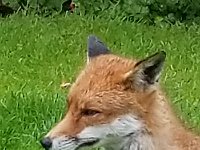 20190619 142009 038  JKJK0	 �¹�å�Á�����J��J��������������������å��'�ù����5ò�x»�¢gÿÿæÜÿÿÿÅÿÿ±�P¨ÿÿK��ÿÿ­ß�2w�"w�"w�"w�"w�"w�2w�2w�"w�A"�q¥�q¥�a�a�a�q¦�"w�"w�"w�"w�"w�"w�2w�2w�2w�a�q¥�a�a�a�@"�a�2w�"w�"w�"w�"w�"w�2w�2w�Bw�q¥�a�0�P3�0� �A"�"w�"w�"w�"w�"w�2w�2w�Bw�a�a�a� � � �!"�1"�"w�"w�"w�2w�"w�"w�A"�a�a�a�a�0� � �!"�A"�"w�2w�"w�"w�2w�"w�1"�a�a�a�A"�0� � �1"�Q3�"w�"w�"w�"w�"w�2w�Q3�a�Q3� �0� �0�0�1"�2w�2w�2w�"w�"w�"w�Bw�q¥�a�Q3� �1"� � �1"�!"�"w�2w�2w�2w�"w�"w�A"�q¥�q¥�a�!"�!"� � �!"�"w�"w�Q3�A"�"w�"w�"w�a�q¥�q¥�q¦�!"�!"�!"�!"�"w�"w�"w�2w�	�"w�"w�2w�q¦�q¥�q¥�q¦�0�"w�"w�2w�"w�"w�"w�	�2w�"w�"w�"w�2w�q¥�q¥�q¦�0�2w�"w�"w�"w�"w�"w�q¦�2w�"w�"w�"w�2w�Bw�q¥�q¦�a�"w�"w�"w�"w�"w�"w�	�2w�"w�2w�2w�"w�2w�A"�a�q¦�!"�"w�"w�"w�"w�"w�	�2w�"w�"w�"w�"w�2w�2w�2w�a�!"�"w�"w�"w�"w�"w�p		�"w�"w�"w�"w�"w�2w�"w�"w�A"�"w�"w�"w�"w�"w�"w�8 ÿÉ �Jä�'"������F�B%º�	 ������q ÿ/������¤� ÿÍ ÿÍ ÿÍ ÿÍpÿÍpÿÍ°ÿK��������������������E ��������8 �>8 �É8 �É) �Î  �I �I6�#ä�'"ä�'"�������������������(F�B%F�B%¾�é%º�	 º�	 `XL��``���`ï���������������������������������������������������������������&����������������÷��§������������������������������������������������������������������������������������������������������������FAFA��Uq�}�(���¡¡3����FAFA(�{��ÿîÿv���ç}�|��ÿîÿv���ç}�}��Fÿ�v���ç£}�}��Fÿ�v���ç£~�}��Fÿ�v���çã~�}��¤ÿ�v���çÃ~�}��¤ÿ�v���çÃ~�}��¤ÿ�v���çÃ~�}�Öÿ%�ùÿv���çÃ~�}�Öÿ%�ùÿv���çÃ~�}�Öÿ%�ùÿv���çÃ�}�ÿI��v���çÃ~�}�ÿI��v���çÃ~�}�ÿI��v���çÃ~�}�¨ÿf���v���çÃ~�}�¨ÿf���v���çÃ~�}�¬ÿ^��v���çÃ~�}�¬ÿ^��v���çÃ�}�¬ÿ^��v���çÃ~�}�ÝÿÒÿ�v���çÃ~�}�ÝÿÒÿ�v���çÃ~�}�ÝÿÒÿ�v���çÃ~�}�ÝÿÒÿ�v���çÃ~�}��9� �v���çÃ~�}��9� �v���çÃ~�}��9� �v���çÃ~�}�h�Ñÿ�v���çÃ~�}�h�Ñÿ�v���çÃ~�}�h�Ñÿ�v���çÃ~�}��¡ÿýÿv���çÃ~�}��¡ÿýÿv���çÃ~�}�àÿ3�ôÿv���çÃ~�}�àÿ3�ôÿv���çÃ�}�àÿ3�ôÿv���çÃ~�}�Åÿâÿêÿv���çÃ~�}�Åÿâÿêÿv���çÃ~�}�Åÿâÿêÿv���çÃ~�}�ÿõÿûÿv���çÃ~�}�ÿõÿûÿv���çÃ~�}�ÿõÿûÿv���çÃ~�J��ú�ÐP����ðäÐÄFAFA���������������������������������������������������������������������������������������������������������}�ç���}�ç���|�ç���{�ç���w�ç���v�ç���v�ç���w�ç���}�ç����ç���
�ç����ç����ç���~�ç���}�ç���{�ç���x�ç���w�ç���v�ç���w�ç���y�ç���{�ç����ç����ç����ç����ç���~�ç���{�ç���z�ç���y�ç���y�ç���{�ç���}�ç���z�ç���|�ç����ç����ç����ç���
�ç���}�ç���|�ç���y�ç���y�ç���x�ç���|�ç���~�ç���}�ç���{�ç���}�ç����ç����ç����ç���}�ç���{�����{�ç���y�ç���y�ç���z�ç���|�ç���{�ç���|�ç���}�ç����ç����ç����ç���}�ç���y�ç���y�ç���y�ç���x�ç���x�ç���y�ç���z�ç���}�ç����ç����ç����ç����ç���~�ç���~�ç���|�ç���z�ç���y�ç���x�ç���z�ç���{�ç���~�ç����ç����ç���
�ç����ç���������������������������������������������������������������������������������������������������������� �	��~�ç��ÿ�����������������������������������������������®®®®��ì�����F	��J������1¡r���	��-	�������������������������������������������������������������������������&���&���������������������J	��������������������������������������������������������������a������F���	������	��Ö��������������� ���2���y���������������J��ì��îîîîØ����������������������������������������������������������������������������������������������P��������P�������������B ��~��B ����������Ãÿÿÿ���õ���+���¹��	��Ü	��	����ö��	��²	��Z	��´	��	��á	����6	��	��~	��>	��º	��	��ê	����f��c	��ü��H	��v	��À	��	��	��Å��Á��i��u	��ü��V	��	��x	��ü��ä��ç����W	��ê��ù�� 	��T	��ÿ��Ê����	��	��	��ø��Z	��	��ß����â��Ø��	��é��A	�� 	��Õ��Ä�� ��Ó��,	��¹��Ó��������������.��óÿÿÿ¹��	������X������������������	��I ��4����������I ������������ ���&������vþÿÿþÿÿÿ��������������������������������������������F	��F	������	�����:����������������������������������E	��O	�������6��±������Øÿÿÿÿÿÿÿÿÿ÷ÿÿÿxÿÿÿFÿÿÿ ÿÿÿÿÿÿ�����������������������Óÿÿÿ·ÿÿÿK	��©ÿÿÿZÿÿÿÒ��Õ���´�����������������������������������������������������������������������������������ê	��ôÿÿÿóÿÿÿ����������������	������Ä��Ì	�������������&���.���6����������������� �� ��������������������������������6�������������������������������������x9�������������������������������������������������������������������������������������������������������������������������������������������������������������������������������������������������������������������������������������������������������������������������������������������������������������������������������������������������ssuniqueid`3
