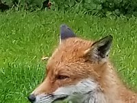 20190619 142009 039  JKJK0	 �¹�å�Á�����J��J��������������������å��'�ù����5ò�x»�¢gÿÿæÜÿÿÿÅÿÿ±�P¨ÿÿK��ÿÿ­ß�2w�"w�"w�"w�"w�"w�2w�2w�"w�A"�q¥�q¥�a�a�a�q¦�"w�"w�"w�"w�"w�"w�2w�2w�2w�a�q¥�a�a�a�@"�a�2w�"w�"w�"w�"w�"w�2w�2w�Bw�q¥�a�0�P3�0� �A"�"w�"w�"w�"w�"w�2w�2w�Bw�a�a�a� � � �!"�1"�"w�"w�"w�2w�"w�"w�A"�a�a�a�a�0� � �!"�A"�"w�2w�"w�"w�2w�"w�1"�a�a�a�A"�0� � �1"�Q3�"w�"w�"w�"w�"w�2w�Q3�a�Q3� �0� �0�0�1"�2w�2w�2w�"w�"w�"w�Bw�q¥�a�Q3� �1"� � �1"�!"�"w�2w�2w�2w�"w�"w�A"�q¥�q¥�a�!"�!"� � �!"�"w�"w�Q3�A"�"w�"w�"w�a�q¥�q¥�q¦�!"�!"�!"�!"�"w�"w�"w�2w�	�"w�"w�2w�q¦�q¥�q¥�q¦�0�"w�"w�2w�"w�"w�"w�	�2w�"w�"w�"w�2w�q¥�q¥�q¦�0�2w�"w�"w�"w�"w�"w�q¦�2w�"w�"w�"w�2w�Bw�q¥�q¦�a�"w�"w�"w�"w�"w�"w�	�2w�"w�2w�2w�"w�2w�A"�a�q¦�!"�"w�"w�"w�"w�"w�	�2w�"w�"w�"w�"w�2w�2w�2w�a�!"�"w�"w�"w�"w�"w�p		�"w�"w�"w�"w�"w�2w�"w�"w�A"�"w�"w�"w�"w�"w�"w�8 ÿÉ �Jä�'"������F�B%º�	 ������q ÿ/������¤� ÿÍ ÿÍ ÿÍ ÿÍpÿÍpÿÍ°ÿK��������������������E ��������8 �>8 �É8 �É) �Î  �I �I6�#ä�'"ä�'"�������������������(F�B%F�B%¾�é%º�	 º�	 `XL��``���`ï���������������������������������������������������������������&����������������÷��§������������������������������������������������������������������������������������������������������������FAFA��Uq�}�(���¡¡3����FAFA(�{��ÿîÿv���ç}�|��ÿîÿv���ç}�}��Fÿ�v���ç£}�}��Fÿ�v���ç£~�}��Fÿ�v���çã~�}��¤ÿ�v���çÃ~�}��¤ÿ�v���çÃ~�}��¤ÿ�v���çÃ~�}�Öÿ%�ùÿv���çÃ~�}�Öÿ%�ùÿv���çÃ~�}�Öÿ%�ùÿv���çÃ�}�ÿI��v���çÃ~�}�ÿI��v���çÃ~�}�ÿI��v���çÃ~�}�¨ÿf���v���çÃ~�}�¨ÿf���v���çÃ~�}�¬ÿ^��v���çÃ~�}�¬ÿ^��v���çÃ�}�¬ÿ^��v���çÃ~�}�ÝÿÒÿ�v���çÃ~�}�ÝÿÒÿ�v���çÃ~�}�ÝÿÒÿ�v���çÃ~�}�ÝÿÒÿ�v���çÃ~�}��9� �v���çÃ~�}��9� �v���çÃ~�}��9� �v���çÃ~�}�h�Ñÿ�v���çÃ~�}�h�Ñÿ�v���çÃ~�}�h�Ñÿ�v���çÃ~�}��¡ÿýÿv���çÃ~�}��¡ÿýÿv���çÃ~�}�àÿ3�ôÿv���çÃ~�}�àÿ3�ôÿv���çÃ�}�àÿ3�ôÿv���çÃ~�}�Åÿâÿêÿv���çÃ~�}�Åÿâÿêÿv���çÃ~�}�Åÿâÿêÿv���çÃ~�}�ÿõÿûÿv���çÃ~�}�ÿõÿûÿv���çÃ~�}�ÿõÿûÿv���çÃ~�J��ú�ÐP����ðäÐÄFAFA���������������������������������������������������������������������������������������������������������}�ç���}�ç���|�ç���z�ç���v�ç���v�ç���v�ç���x�ç���}�ç����ç����ç���
�ç����ç���~�ç���}�ç���{�ç���x�ç���w�ç���v�ç���w�ç���y�ç���{�ç����ç����ç����ç����ç���~�ç���|�ç���z�ç���y�ç���x�ç���{�ç���}�ç���{�ç���{�ç���~�ç����ç����ç���
�ç���}�ç���|�ç���y�ç���y�ç���y�ç���|�ç���~�ç���}�ç���{�ç���~�ç����ç����ç���
�ç���}�ç���|�����{�ç���y�ç���y�ç���z�ç���z�ç���z�ç���|�ç���~�ç����ç����ç���
�ç���}�ç���y�ç���y�ç���y�ç���x�ç���x�ç���z�ç���z�ç���|�ç����ç����ç����ç����ç���}�ç���~�ç���|�ç���z�ç���y�ç���x�ç���{�ç���|�ç���~�ç����ç����ç����ç���
�ç���������������������������������������������������������������������������������������������������������� �	��~�ç��ÿ�����������������������������������������������®®®®��ì�����F	��J������1¡r���	��-	�������������������������������������������������������������������������&���&���������������������J	��������������������������������������������������������������X������F���	������	��Ö��������������� ���2���y���������������J��ì��îîîîØ����������������������������������������������������������������������������������������������P��������P�������������B ��}��B ����������Ãÿÿÿ}���õ���%���¹��	��Þ	��	����ã��	��²	��Z	��³	��	��Þ	����4	��	��	�� ��6����������O ������������ ���&������vþÿÿþÿÿÿ��������������������������������������������F	��F	������	�����9����������������������������������E	��N	�������5��³������ÙÿÿÿÿÿÿÿÿÿöÿÿÿzÿÿÿOÿÿÿ#ÿÿÿÿÿÿ�����������������������Ôÿÿÿ¸ÿÿÿL	��ªÿÿÿ\ÿÿÿÒ��×���¹�����������������������������������������������������������������������������������î	��ôÿÿÿóÿÿÿ����������������	������Ä��Ì	�������������&���.���5����������������� �� ��������������������������������7�������������������������������������x9�������������������������������������������������������������������������������������������������������������������������������������������������������������������������������������������������������������������������������������������������������������������������������������������������������������������������������������������������ssuniqueid`3