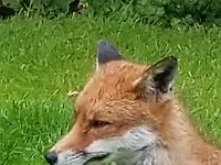 20190619 142009 040  JKJK0	 �¹�å�Á�����J��J��������������������å��³ù����Ïó�x»�¢gÿÿæÜÿÿÿÅÿÿ±�P¨ÿÿK��ÿÿ­ß�2w�"w�"w�"w�"w�"w�2w�2w�"w�A"�q¥�a�a�a�a�q¦�"w�"w�"w�"w�"w�"w�2w�2w�"w�a�q¥�a�a�a�Q3�a�2w�"w�"w�"w�"w�"w�2w�2w�2w�q¥�a�@"�`		�0� �A"�"w�"w�"w�"w�"w�2w�2w�2w�a�a�a�0� � �!"�1"�"w�"w�"w�2w�"w�2w�1"�a�a�a�a�0� � �!"�A"�"w�2w�"w�"w�2w�2w��a�a�a�A"� � � �1"�Q3�"w�"w�"w�"w�"w�2w�A"�a�a�0� � �0�0�1"�2w�2w�2w�"w�"w�"w�Bw�a�q¦�Q3� �1"� � �0�!"�"w�	�2w�"w�"w�"w�A"�q¥�q¥�a�!"�!"� � �!"�"w�"w�Q3�A"�"w�"w�"w�a�q¥�q¥�q¦�!"�!"�!"�!"�"w�"w�"w�2w�	�"w�"w�2w�q¦�q¥�q¥�q¦�0�"w�"w�2w�"w�"w�"w�Q3�2w�"w�"w�2w�A"�q¥�q¥�q¦�0�"w�"w�"w�"w�"w�"w�q¦�2w�"w�"w�"w�2w�Q3�q¥�q¦�a�"w�"w�"w�"w�"w�"w�	�2w�2w�2w�2w�2w�2w�A"�a�a�!"�"w�"w�"w�"w�"w�	�2w�"w�"w�2w�2w�2w�2w�2w�a�!"�"w�"w�"w�"w�"w�p		�"w�"w�2w�"w�"w�2w�"w�"w�A"�"w�"w�"w�"w�"w�"w�0 �âK �N�¾$������W�C%Í�) ������½ �U�������Ý'ß'ß'ß'ßwßwßºV��������������������HÐ��������0 �V0 �â0 �âú�ì J �MJ �Mj�¯%�¾$�¾$�������������������(W�C%W�C%Í�&Í�) Í�) ^XL��``���Qï����������������������������������������������������������������&����������������÷��§������������������������������������������������������������������������������������������������������������FAFA��Uq�}�(���¡¡3����FAFA(�{��ÿîÿv���ç}�|��ÿîÿv���ç}�}��Fÿ�v���ç£}�}��Fÿ�v���ç£~�}��Fÿ�v���çã~�}��¤ÿ�v���çÃ~�}��¤ÿ�v���çÃ~�}��¤ÿ�v���çÃ~�}�Öÿ%�ùÿv���çÃ~�}�Öÿ%�ùÿv���çÃ~�}�Öÿ%�ùÿv���çÃ�}�ÿI��v���çÃ~�}�ÿI��v���çÃ~�}�ÿI��v���çÃ~�}�¨ÿf���v���çÃ~�}�¨ÿf���v���çÃ~�}�¬ÿ^��v���çÃ~�}�¬ÿ^��v���çÃ�}�¬ÿ^��v���çÃ~�}�ÝÿÒÿ�v���çÃ~�}�ÝÿÒÿ�v���çÃ~�}�ÝÿÒÿ�v���çÃ~�}�ÝÿÒÿ�v���çÃ~�}��9� �v���çÃ~�}��9� �v���çÃ~�}��9� �v���çÃ~�}�h�Ñÿ�v���çÃ~�}�h�Ñÿ�v���çÃ~�}�h�Ñÿ�v���çÃ~�}��¡ÿýÿv���çÃ~�}��¡ÿýÿv���çÃ~�}�àÿ3�ôÿv���çÃ~�}�àÿ3�ôÿv���çÃ�}�àÿ3�ôÿv���çÃ~�}�Åÿâÿêÿv���çÃ~�}�Åÿâÿêÿv���çÃ~�}�Åÿâÿêÿv���çÃ~�}�ÿõÿûÿv���çÃ~�}�ÿõÿûÿv���çÃ~�}�ÿõÿûÿv���çÃ~�J��ú�ÐP����ðäÐÄFAFA���������������������������������������������������������������������������������������������������������~�ç���}�ç���|�ç���z�ç���w�ç���v�ç���v�ç���x�ç���}�ç����ç���
�ç����ç����ç���~�ç���|�ç���{�ç���x�ç���v�ç���u�ç���w�ç���x�ç���{�ç����ç����ç����ç����ç����ç���z�ç���z�ç���y�ç���y�ç���{�ç���}�ç���{�ç���{�ç����ç����ç����ç���
�ç���}�ç���{�ç���x�ç���y�ç���y�ç���|�ç���~�ç���}�ç���{�ç���}�ç����ç����ç����ç���}�ç���{�����{�ç���y�ç���y�ç���z�ç���{�ç���z�ç���|�ç���~�ç����ç����ç����ç���}�ç���z�ç���y�ç���y�ç���x�ç���x�ç���y�ç���{�ç���}�ç����ç����ç����ç����ç���}�ç���}�ç���|�ç���z�ç���x�ç���w�ç���y�ç���{�ç���~�ç����ç���
�ç���
�ç����ç���������������������������������������������������������������������������������������������������������� �	��~�ç��ÿ�����������������������������������������������®®®®��ì�����F	��J������1¡r���	��-	�������������������������������������������������������������������������&���&���������������������J	��������������������������������������������������������������a������F���	������	��î��������������� ���2���y���������������J��ì��îîîîØ����������������������������������������������������������������������������������������������P��������P�������������A ��}��A ����������Ãÿÿÿ���õ���+���¹��	��ã	��	����Ì���	��²	��[	��³	��	��Ü	����/	��û��	��9	��¶	��	��î	��	��h��[	��õ��E	��|	��Ç	��	��	��Ä��Ã��g��v	��þ��U	��	��v	��ù��ç��ä����^	��è��	��	��T	��þ��Ë����	��		��|	��ø��X	��	��ß����â��Ø��	��è��C	��		��Ö��Æ�� ��Ô��,	��¹��Ô��������������.��óÿÿÿ¹��	������W������������������	��M ��4����������M ������������ ���&������vþÿÿÿÿÿÿ��������������������������������������������F	��F	������	�����8����������������������������������E	��M	�������6��²������ÙÿÿÿÿÿÿÿÿÿùÿÿÿzÿÿÿPÿÿÿÿÿÿÿÿÿ�����������������������Õÿÿÿ»ÿÿÿL	��ªÿÿÿ\ÿÿÿÓ��Õ���¹�����������������������������������������������������������������������������������î	��ôÿÿÿóÿÿÿ����������������	������¬��Ì	�������������&���.���6����������������� �� ���������������������������������7�������������������������������������x9�������������������������������������������������������������������������������������������������������������������������������������������������������������������������������������������������������������������������������������������������������������������������������������������������������������������������������������������������ssuniqueid`3