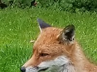 20190619 142009 042  JKJK0	 �¹�å�Á�����G��G���������������������ã��!rú����Eô�x»�¢gÿÿæÜÿÿÿÅÿÿ±�P¨ÿÿK��ÿÿ­ß�Bw�"w�"w�"w�"w�"w�2w�2w�"w�Bw�q¥�q¥�a�a�a�q¦�"w�"w�"w�"w�2w�"w�2w�2w�"w�a�q¥�a�a�`		�@"�a�2w�2w�"w�"w�"w�"w�2w�"w�2w�a�a�0�P3�0� �1"�"w�"w�"w�"w�"w�"w�2w�2w�a�a�a�0� � �!"�1"�"w�"w�"w�2w�2w�2w�2w�a�a�a�a�0� � �!"�A"�"w�2w�"w�"w�2w�2w�A"�a�a�a�A"� � � �1"�A"�2w�"w�"w�"w�"w�2w��a�a� � � � �0�1"�2w�2w�2w�"w�"w�"w�2w�Q3�q¦�Q3� �0� � �0�!"�"w�	�2w�2w�"w�"w�Bw�q¥�a�a� �1"� � �!"�"w�"w�A"�A"�"w�"w�"w�Q3�q¥�q¥�q¦�1"�!"�!"�!"�"w�"w�"w�Bw�A"�"w�"w�"w�q¦�q¥�q¥�q¦�0�"w�"w�"w�"w�"w�"w�Q3�2w�"w�"w�"w�P3�q¥�q¥�q¦�0�"w�"w�"w�"w�"w�"w�q¦�2w�"w�"w�"w�2w�Bw�q¥�q¦�a�"w�"w�"w�"w�"w�"w�	�2w�"w�2w�"w�2w�2w�A"�a�q¦�!"�"w�"w�"w�"w�"w�	�2w�"w�"w�"w�"w�2w�2w�2w�a�!"�"w�"w�"w�"w�"w�p		�"w�"w�"w�"w�"w�2w�"w�"w�Bw�"w�"w�"w�"w�"w�"w�1 � �æ½�ø"�������3%� ������g ÿ5������·�¨)�¨)�¨)�¨)�¨y�¨y�¨¸�)��������������������¢��������1 �1 �1 �7 �`  �æ �æ�Þ#½�ø"½�ø"������������������¸�(�2%�2%�x&� � [Rr�����Êë����������������������������������������������������������������#����������������÷��§������������������������������������������������������������������������������������������������������������FAFA��Uq�}�(���¡¡3����FAFA(�{��ÿîÿv���ç}�|��ÿîÿv���ç}�}��Fÿ�v���ç£}�}��Fÿ�v���ç£~�}��Fÿ�v���çã~�}��¤ÿ�v���çÃ~�}��¤ÿ�v���çÃ~�}��¤ÿ�v���çÃ~�}�Öÿ%�ùÿv���çÃ~�}�Öÿ%�ùÿv���çÃ~�}�Öÿ%�ùÿv���çÃ�}�ÿI��v���çÃ~�}�ÿI��v���çÃ~�}�ÿI��v���çÃ~�}�¨ÿf���v���çÃ~�}�¨ÿf���v���çÃ~�}�¬ÿ^��v���çÃ~�}�¬ÿ^��v���çÃ�}�¬ÿ^��v���çÃ~�}�ÝÿÒÿ�v���çÃ~�}�ÝÿÒÿ�v���çÃ~�}�ÝÿÒÿ�v���çÃ~�}�ÝÿÒÿ�v���çÃ~�}��9� �v���çÃ~�}��9� �v���çÃ~�}��9� �v���çÃ~�}�h�Ñÿ�v���çÃ~�}�h�Ñÿ�v���çÃ~�}�h�Ñÿ�v���çÃ~�}��¡ÿýÿv���çÃ~�}��¡ÿýÿv���çÃ~�}�àÿ3�ôÿv���çÃ~�}�àÿ3�ôÿv���çÃ�}�àÿ3�ôÿv���çÃ~�}�Åÿâÿêÿv���çÃ~�}�Åÿâÿêÿv���çÃ~�}�Åÿâÿêÿv���çÃ~�}�ÿõÿûÿv���çÃ~�}�ÿõÿûÿv���çÃ~�}�ÿõÿûÿv���çÃ~�G��ú�ÐP����ðäÐÄFAFA���������������������������������������������������������������������������������������������������������}�ç���}�ç���|�ç���z�ç���v�ç���u�ç���v�ç���x�ç���}�ç����ç���
�ç���
�ç����ç���}�ç���|�ç���{�ç���x�ç���v�ç���v�ç���w�ç���y�ç���{�ç����ç����ç����ç����ç���~�ç���{�ç���y�ç���x�ç���y�ç���{�ç���|�ç���{�ç���{�ç����ç����ç����ç���
�ç���|�ç���{�ç���y�ç���x�ç���x�ç���|�ç���~�ç���}�ç���{�ç���}�ç����ç����ç���
�ç���}�ç���{�����{�ç���x�ç���x�ç���y�ç���{�ç���z�ç���|�ç���}�ç����ç����ç����ç���|�ç���y�ç���y�ç���x�ç���x�ç���x�ç���z�ç���{�ç���}�ç����ç���
�ç����ç����ç���}�ç���}�ç���{�ç���y�ç���x�ç���w�ç���y�ç���z�ç���~�ç����ç����ç����ç����ç���������������������������������������������������������������������������������������������������������� �	��~�ç��ÿ�����������������������������������������������®®®®��ì�����F	��E������1¡r��� 	��.	�������������������������������������������������������������������������&���&���������������������G	��������������������������������������������������������������`������F���	������ 	��Ú��������������� ���2���y���������������E��ì��îîîîØ����������������������������������������������������������������������������������������������P��������P�������������C ��|��C ����������Äÿÿÿ���õ���,���Æ��	��ã	��	��~��y��ñ��³	��]	��²	��	��è	����	��è��|	��2	��¼	��	��ê	�������N	��ò��B	��q	��Ã	��	��ý��Æ��·��R��d	��	��Y	��	��y	��ü��ã��ä����i	��ñ��ü��	��S	��	��È����	��		��	��ñ��Z	��	��Ü����Ü��Ø��	��ä��?	�� 	��Ò��Ç�� ��Ñ��,	��´��Ò��������������.��óÿÿÿ¹�� 	������V������������������	��I ��)����������I ������������ ���&������wþÿÿÿÿÿÿ��������������������������������������������F	��F	������	�����;����������������������������������E	��M	�������6��³������Øÿÿÿÿÿÿÿÿÿóÿÿÿ}ÿÿÿ%ÿÿÿ%ÿÿÿ}ÿÿÿ�����������������������×ÿÿÿ¹ÿÿÿH	��ªÿÿÿ`ÿÿÿÒ��Í���µ�����������������������������������������������������������������������������������ê	��óÿÿÿóÿÿÿ����������������	������¬��Ì	�������������&���.���6����������������� �� ���������������������������������7�������������������������������������)�������������������������������������������������������������������������������������������������������������������������������������������������������������������������������������������������������������������������������������������������������������������������������������������������������������������������������������������������ssuniqueid`3