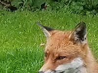 20190619 142009 052  JKJK0	 �¹�å�Á����� �v���çÃ~�}��9� �v���çÃ~�}��9� �v���çÃ~�}�h�Ñÿ�v���çÃ~�}�h�Ñÿ�v���çÃ~�}�h�Ñÿ�v���çÃ~�}��¡ÿýÿv���çÃ~�}��¡ÿýÿv���çÃ~�}�àÿ3�ôÿv���çÃ~�}�àÿ3�ôÿv���çÃ�}�àÿ3�ôÿv���çÃ~�}�Åÿâÿêÿv���çÃ~�}�Åÿâÿêÿv���çÃ~�}�Åÿâÿêÿv���çÃ~�}�ÿõÿûÿv���çÃ~�}�ÿõÿûÿv���çÃ~�}�ÿõÿûÿv���çÃ~� ��z��0 ����������¿ÿÿÿ���õ���,���	��	��à��©	��n��"	��%	��\	��/	�� ��(	��m	��w��]	��+	��d	�� ��&����������w ���������������%������qþÿÿÿÿÿÿ��������������������������������������������F	��F	������ô�����9�����������������������������������²��H	�������6��¥������Äÿÿÿgÿÿÿÿÿÿ÷ÿÿÿqÿÿÿ2ÿÿÿ"ÿÿÿ~ÿÿÿ��������������������������°ÿÿÿ?	��¤ÿÿÿOÿÿÿÂ��â���µ���
�������������������������������������������������������������������������������� ��öÿÿÿôÿÿÿ����������������n	������Ä��	�������������%���.���6����������������� �� ��������������������������������7�������������������������������������×�������������������������������������������������������������������������������������������������������������������������������������������������������������������������������������������������������������������������������������������������������������������������������������������������������������������������������������������������ssuniqueid`3