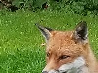 20190619 142009 053  JKJK0	 �¹�å�Á�����=��=���������������������Þ��Cæù����Ëð�|»�¢gÿÿâÜÿÿÿÅÿÿº�G¨ÿÿO��ÿÿ¥ß�2w�2w�"w�"w�2w�"w�2w�2w�2w�a�a�@"�P3�A"� �1"�"w�"w�"w�"w�"w�"w�2w�2w�Q3�a�a�@"� � � �1"�"w�"w�"w�"w�"w�2w�1"�a�a�a�Q3�1"� � � �1"�2w�2w�"w�"w�"w�1"�Q3�a�a� �1"�0� � �1"�A"�"w�2w�"w�"w�"w�2w�A"�q¥�a� �1"� � �0�!"�2w�"w�2w�"w�"w�"w�2w�a�q¥�q¦�A"�1"�!"� �0�!"�"w�	�Bw�2w�"w�"w�2w�q¥�q¥�q¦�A"�!"� � � �"w�"w�a�	�2w�"w�"w�2w�q¥�q¥�q¦�Q3� �!"�"w�"w�"w�"w�A"�	�2w�"w�"w�2w�q¥�q¥�q¦�q¥� �"w�"w�"w�"w�"w�	�2w�2w�"w�"w�2w�q¥�q¥�q¥�q¥� �"w�"w�"w�"w�"w�A"�2w�"w�2w�"w�2w�Q3�a�q¦�q¥�0�"w�"w�"w�"w�"w�	�2w�"w�2w�"w�2w�2w�2w�2w�Bw�A"�"w�"w�"w�"w�"w�	�2w�"w�"w�"w�2w�2w�2w�"w�"w�"w�"w�"w�"w�"w�"w�a�2w�"w�"w�"w�"w�2w�"w�"w�"w�"w�"w�"w�"w�"w�"w�	�!"�"w�2w�"w�"w�"w�"w�"w�"w�"w�"w�"w�"w�"w�"w�"w�2w�"w�2w�"w�"w�2w�"w�"w�"w�"w�"w�"w�"w�"w�"w� �Ü ÿN�!������ªÿ¥%��!������· ÿ7������M�ÚþCþCþCþC`þC`þCþÜ��������������������È�������� �P �Ü �Ü»�ê	 �P	 �Pg�v"�!�!������������������ó�z(ª�¥%ª�¥%;�'��!��!Y=��00���á����������������������������������������������������������������$����������������÷��§������������������������������������������������������������������������������������������������������������FAFA��Uq�}�(���¡¡3����FAFA(�{��ÿîÿv���ç}�|��ÿîÿv���ç}�}��Fÿ�v���ç£}�}��Fÿ�v���ç£~�}��Fÿ�v���çã~�}��¤ÿ�v���çÃ~�}��¤ÿ�v���çÃ~�}��¤ÿ�v���çÃ~�}�Öÿ%�ùÿv���çÃ~�}�Öÿ%�ùÿv���çÃ~�}�Öÿ%�ùÿv���çÃ�}�ÿI��v���çÃ~�}�ÿI��v���çÃ~�}�ÿI��v���çÃ~�}�¨ÿf���v���çÃ~�}�¨ÿf���v���çÃ~�}�¬ÿ^��v���çÃ~�}�¬ÿ^��v���çÃ�}�¬ÿ^��v���çÃ~�}�ÝÿÒÿ�v���çÃ~�}�ÝÿÒÿ�v���çÃ~�}�ÝÿÒÿ�v���çÃ~�}�ÝÿÒÿ�v���çÃ~�}��9� �v���çÃ~�}��9� �v���çÃ~�}��9� �v���çÃ~�}�h�Ñÿ�v���çÃ~�}�h�Ñÿ�v���çÃ~�}�h�Ñÿ�v���çÃ~�}��¡ÿýÿv���çÃ~�}��¡ÿýÿv���çÃ~�}�àÿ3�ôÿv���çÃ~�}�àÿ3�ôÿv���çÃ�}�àÿ3�ôÿv���çÃ~�}�Åÿâÿêÿv���çÃ~�}�Åÿâÿêÿv���çÃ~�}�Åÿâÿêÿv���çÃ~�}�ÿõÿûÿv���çÃ~�}�ÿõÿûÿv���çÃ~�}�ÿõÿûÿv���çÃ~�=��ú�ÐP����ðäÐÄFAFA���������������������������������������������������������������������������������������������������������}�ç���}�ç���}�ç���{�ç���w�ç���v�ç���v�ç���y�ç���}�ç����ç���
�ç����ç����ç���~�ç���}�ç���{�ç���y�ç���w�ç���v�ç���x�ç���x�ç���{�ç����ç����ç����ç����ç���~�ç���{�ç���z�ç���x�ç���x�ç���z�ç���|�ç���{�ç���{�ç���~�ç����ç����ç���
�ç���}�ç���|�ç���x�ç���y�ç���y�ç���|�ç���~�ç���}�ç���{�ç���}�ç����ç����ç����ç���}�ç���{�����|�����x�ç���y�ç���z�ç���{�ç���z�ç���|�ç���}�ç����ç���
�ç����ç���}�ç���z�ç���y�ç���y�ç���x�ç���x�ç���y�ç���z�ç���|�ç����ç���
�ç����ç����ç���}�ç���}�ç���{�ç���y�ç���y�ç���w�ç���y�ç���z�ç���~�ç����ç����ç���
�ç����ç���������������������������������������������������������������������������������������������������������� �	��~�ç��ÿ�����������������������������������������������®®®®��ì�����F	��=������1¡r���ÿ��/	�������������������������������������������������������������������������%���%���������������������=	��������������������������������������������������������������]������F���	������ÿ��ú��������������� ���2���y���������������=��ì��îîîîÙ����������������������������������������������������������������������������������������������P��������P�������������) ��{��) ����������¿ÿÿÿ���õ���,���1	��h	��Æ��±	��o��-	��5	��	��_	�� ��&	��E	��x��]	��!	��,	��6	��|	��	��ö��Ë����S	��6	��¢	��8	��h	��	��Ñ��ô��Ý����	��*	��²	��Ù��Q	��(	��Í��ÿ����Ô��	��Ð��¸��U	��!	��Ó����Ã��Ý��«��½��$	��!	��Æ����´��Ï��©��·��1	��	��Ô��Í����Ë��	��z��Ò��������������/��ôÿÿÿ¹��ÿ������d������������������o	��h ��=����������h ���������������%������qþÿÿÿÿÿÿ��������������������������������������������F	��F	������ô�����:�����������������������������������²��D	�������7�� ������Âÿÿÿfÿÿÿÿÿÿöÿÿÿtÿÿÿ ��öÿÿÿôÿÿÿ����������������u	������Ä��	�������������%���/���7����������������� �� ��������������������������������7�������������������������������������×�������������������������������������������������������������������������������������������������������������������������������������������������������������������������������������������������������������������������������������������������������������������������������������������������������������������������������������������������ssuniqueid`3