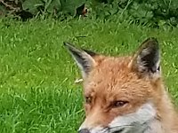 20190619 142009 054  JKJK0	 �¹�å�Á�����=��=���������������������Þ��Cæù����Ëð�|»�¢gÿÿâÜÿÿÿÅÿÿº�G¨ÿÿO��ÿÿ¥ß�2w�2w�"w�"w�2w�"w�2w�2w�2w�a�a�@"�P3�A"� �1"�"w�"w�"w�"w�"w�"w�2w�2w�Q3�a�a�@"� � � �1"�"w�"w�"w�"w�"w�2w�1"�a�a�a�Q3�1"� � � �1"�2w�2w�"w�"w�"w�1"�Q3�a�a� �1"�0� � �1"�A"�"w�2w�"w�"w�"w�2w�A"�q¥�a� �1"� � �0�!"�2w�"w�2w�"w�"w�"w�2w�a�q¥�q¦�A"�1"�!"� �0�!"�"w�	�Bw�2w�"w�"w�2w�q¥�q¥�q¦�A"�!"� � � �"w�"w�a�	�2w�"w�"w�2w�q¥�q¥�q¦�Q3� �!"�"w�"w�"w�"w�A"�	�2w�"w�"w�2w�q¥�q¥�q¦�q¥� �"w�"w�"w�"w�"w�	�2w�2w�"w�"w�2w�q¥�q¥�q¥�q¥� �"w�"w�"w�"w�"w�A"�2w�"w�2w�"w�2w�Q3�a�q¦�q¥�0�"w�"w�"w�"w�"w�	�2w�"w�2w�"w�2w�2w�2w�2w�Bw�A"�"w�"w�"w�"w�"w�	�2w�"w�"w�"w�2w�2w�2w�"w�"w�"w�"w�"w�"w�"w�"w�a�2w�"w�"w�"w�"w�2w�"w�"w�"w�"w�"w�"w�"w�"w�"w�	�!"�"w�2w�"w�"w�"w�"w�"w�"w�"w�"w�"w�"w�"w�"w�"w�2w�"w�2w�"w�"w�2w�"w�"w�"w�"w�"w�"w�"w�"w�"w� �Ü ÿN�!������ªÿ¥%��!������· ÿ7������M�ÚþCþCþCþC`þC`þCþÜ��������������������È�������� �P �Ü �Ü»�ê	 �P	 �Pg�v"�!�!������������������ó�z(ª�¥%ª�¥%;�'��!��!Y=��00���á����������������������������������������������������������������$����������������÷��§������������������������������������������������������������������������������������������������������������FAFA��Uq�}�(���¡¡3����FAFA(�{��ÿîÿv���ç}�|��ÿîÿv���ç}�}��Fÿ�v���ç£}�}��Fÿ�v���ç£~�}��Fÿ�v���çã~�}��¤ÿ�v���çÃ~�}��¤ÿ�v���çÃ~�}��¤ÿ�v���çÃ~�}�Öÿ%�ùÿv���çÃ~�}�Öÿ%�ùÿv���çÃ~�}�Öÿ%�ùÿv���çÃ�}�ÿI��v���çÃ~�}�ÿI��v���çÃ~�}�ÿI��v���çÃ~�}�¨ÿf���v���çÃ~�}�¨ÿf���v���çÃ~�}�¬ÿ^��v���çÃ~�}�¬ÿ^��v���çÃ�}�¬ÿ^��v���çÃ~�}�ÝÿÒÿ�v���çÃ~�}�ÝÿÒÿ�v���çÃ~�}�ÝÿÒÿ�v���çÃ~�}�ÝÿÒÿ�v���çÃ~�}��9� �v���çÃ~�}��9� �v���çÃ~�}��9� �v���çÃ~�}�h�Ñÿ�v���çÃ~�}�h�Ñÿ�v���çÃ~�}�h�Ñÿ�v���çÃ~�}��¡ÿýÿv���çÃ~�}��¡ÿýÿv���çÃ~�}�àÿ3�ôÿv���çÃ~�}�àÿ3�ôÿv���çÃ�}�àÿ3�ôÿv���çÃ~�}�Åÿâÿêÿv���çÃ~�}�Åÿâÿêÿv���çÃ~�}�Åÿâÿêÿv���çÃ~�}�ÿõÿûÿv���çÃ~�}�ÿõÿûÿv���çÃ~�}�ÿõÿûÿv���çÃ~�=��ú�ÐP����ðäÐÄFAFA���������������������������������������������������������������������������������������������������������}�ç���}�ç���}�ç���z�ç���x�ç���v�ç���v�ç���w�ç���}�ç����ç���
�ç���
�ç����ç���~�ç���|�ç���{�ç���y�ç���w�ç���v�ç���x�ç���x�ç���{�ç����ç����ç����ç����ç���~�ç���|�ç���y�ç���x�ç���x�ç���{�ç���|�ç���|�ç���{�ç���~�ç����ç����ç����ç���}�ç���|�ç���x�ç���x�ç���y�ç���|�ç���~�ç���}�ç���|�ç���|�ç����ç����ç���
�ç���}�ç���{�����{�����y�ç���y�ç���y�ç���{�ç���{�ç���|�ç���}�ç����ç���
�ç����ç���}�ç���z�ç���y�ç���y�ç���x�ç���x�ç���z�ç���z�ç���}�ç����ç����ç����ç����ç���}�ç���}�ç���|�ç���y�ç���y�ç���w�ç���x�ç���|�ç���~�ç����ç���
�ç���
�ç����ç���������������������������������������������������������������������������������������������������������� �	��~�ç��ÿ�����������������������������������������������®®®®��ì�����F	��>������1¡r���ÿ��/	�� �����������������������������������������������������������������������%���%���������������������=	��������������������������������������������������������������]������F���	������ÿ��ù��������������� ���2���y���������������>��ì��îîîîÙ����������������������������������������������������������������������������������������������P��������P�������������( ��z��( ����������¿ÿÿÿ���õ���,���2	��f	��Ç��´	��r��4	��,	��	��u	��  ��&	��5	��y��]	��!	��	�� ��8���������� ���������������%������pþÿÿÿÿÿÿ��������������������������������������������F	��F	������ô�����:�����������������������������������³��B	�������7�� ������ÀÿÿÿaÿÿÿÿÿÿöÿÿÿpÿÿÿAÿÿÿ!ÿÿÿÿÿÿ�����������������������ùÿÿÿÿÿÿN	��£ÿÿÿMÿÿÿÁ��ì���¶���ô��������������������������������������������������������������������������������� ��öÿÿÿôÿÿÿ����������������x	������Ä��	�������������%���/���7����������������� �� ��������������������������������7�������������������������������������×�������������������������������������������������������������������������������������������������������������������������������������������������������������������������������������������������������������������������������������������������������������������������������������������������������������������������������������������������ssuniqueid`3