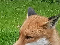 20190620164406
