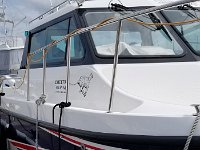 Poole June 2019