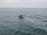 DJI 0556
