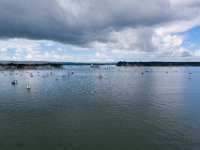 DJI 0606