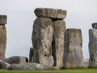 DSC 7204