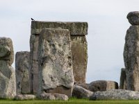 DSC 7205
