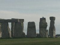 IMG 7696