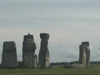 IMG 7697