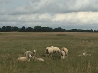 IMG 7721