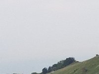 20190705 142022