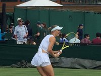 IMG 6953