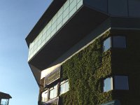 IMG 7031