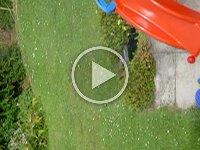 MOV01390