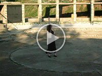 DSCN0871