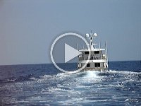 MOV01055