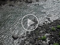 MOV01110