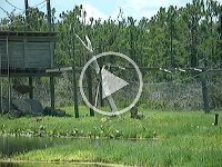 MOV03540