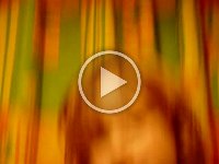 MOV06150