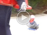 MOV06230