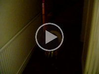 MOV01350