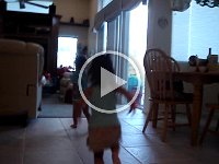 MOV02999