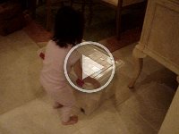 MOV03460
