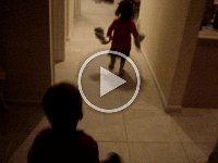MOV03471